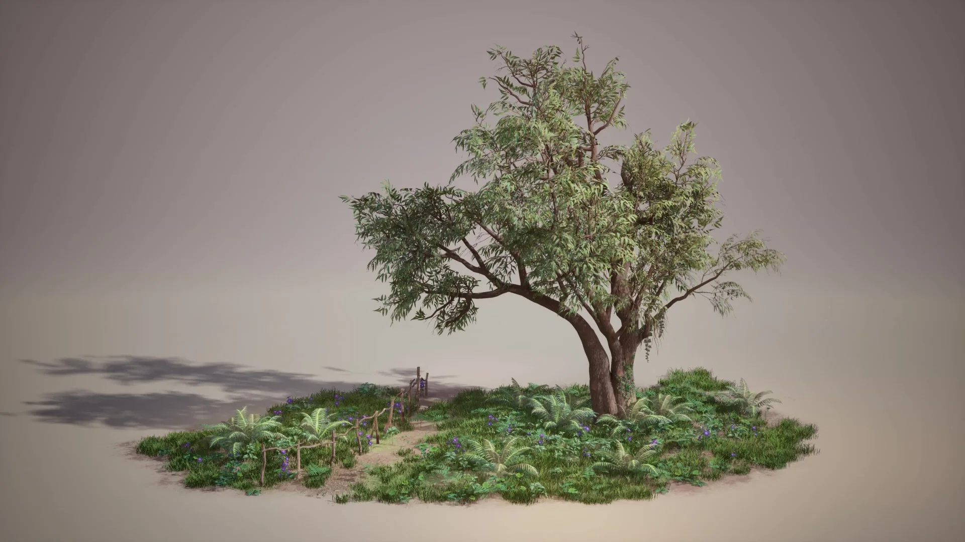 Vegetation Vignette