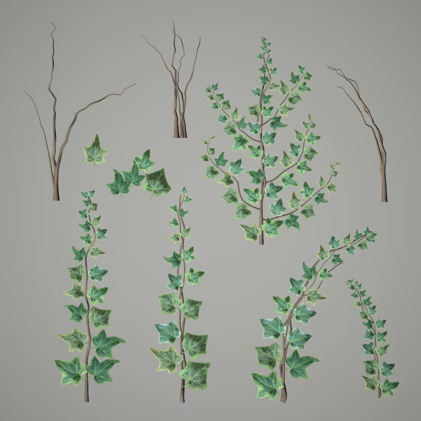 Vegetation Vignette